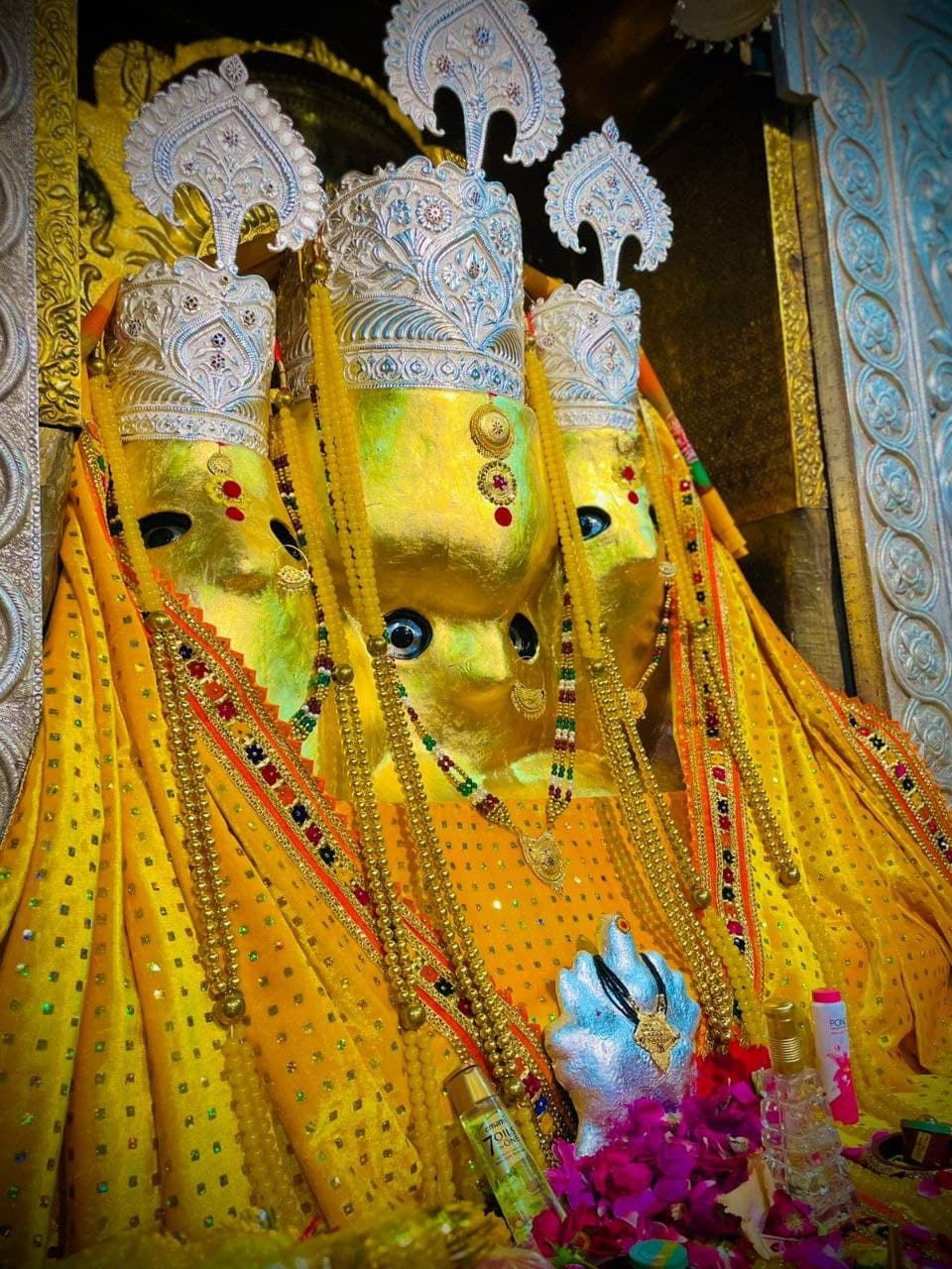 Maa Baglamukhi Havan